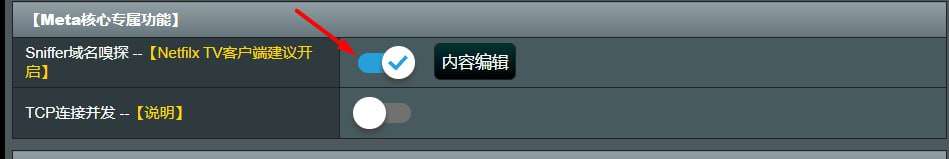sniffer域名嗅探