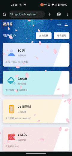 导入配置演示